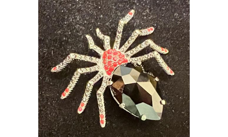 Broche araña plata