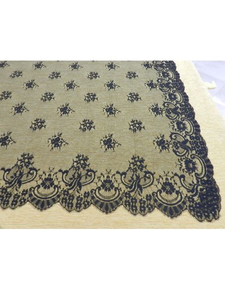 Oferta mantilla + peina